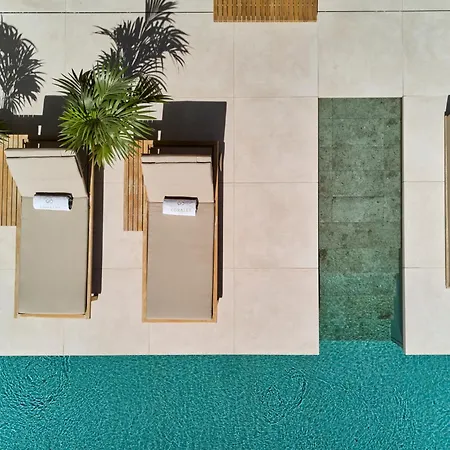 ホテル Royal Hideaway Corales 5*