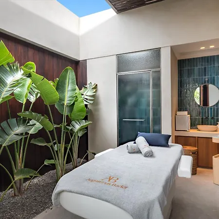 酒店 Royal Hideaway Corales 阿德耶